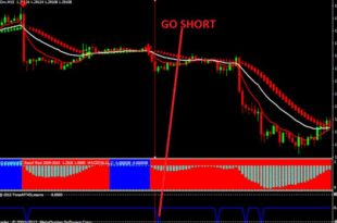 Forex vsd system
