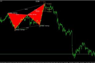 harmonic patterns indicator