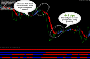 Daily Fibonacci Trading Strategy