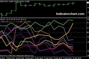 Correlation Indicator