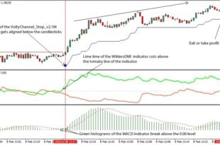 1 min macd scalping strategy