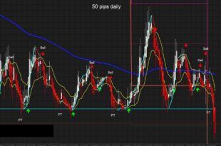 50 Pips a Day Forex Scalping Strategy