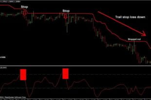 Best Automated Forex Trading System