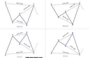 Harmonic Pattern pdf