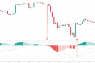 Trading Bitcoins for Beginners