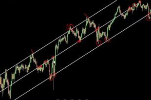 How to Draw Trend Lines PDF