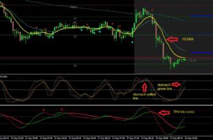 Profitable Belly Forex System