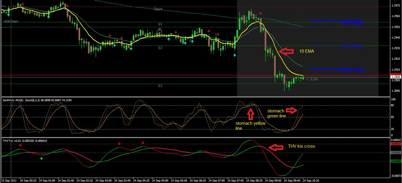 Profitable Belly Forex System
