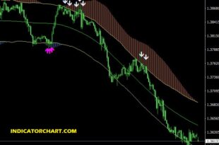 volume indicator forex