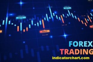 Learn Forex Trading Step By Step