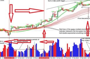 Volume Forex Strategy