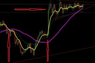 Forex Strategy for Consistent Profit