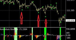 Momentum Reversal Detector