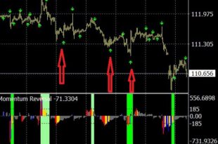 Momentum Reversal Detector