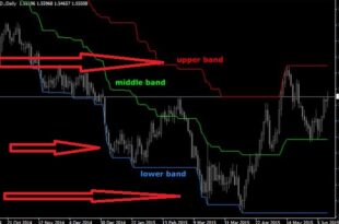 Forex Trading PDF for Beginners