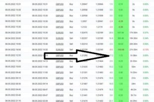 Most Profitable Expert Advisor