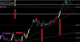 Price Action buy Sell Candle Indicator