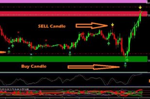 Stop loss and Take Profit Calculator