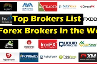 Best Forex Brokers in the World