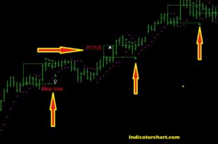 Reversal Bar Indicator
