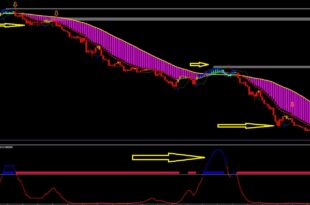 FX Vortex Indicator