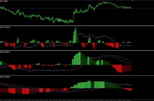 Traditional MACD Indicator BUY SELL signals