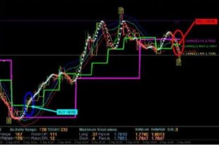 How Much do Forex Traders Make a day?