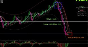 Best Expert Advisor for Small Accounts