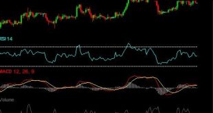 Best Verified Indicator Combinations