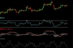 Best Verified Indicator Combinations