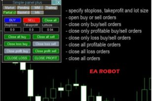 Close All Trades Expert