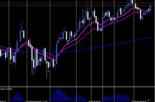Fischer color BUY/SELL indicator signals