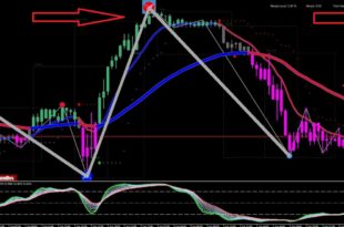 Holy Grail 1.6 Indicator