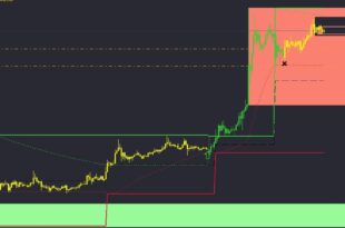 How much margin percentage is safe in Forex trading