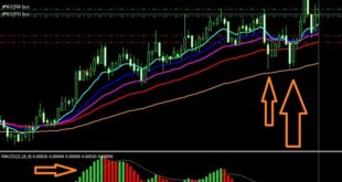 How to use Entropy Math Indicator MetaTrader