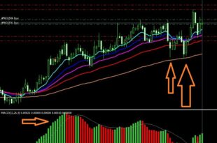 How to use Entropy Math Indicator MetaTrader