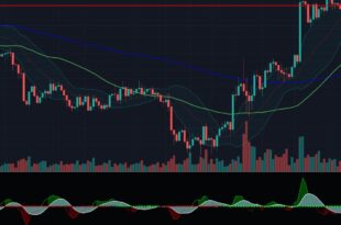 Indicator for Predicting one M5 Candle