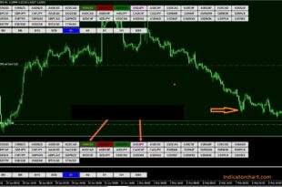 Symbol Changer Profit Display