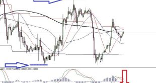 Top Trend Indicators