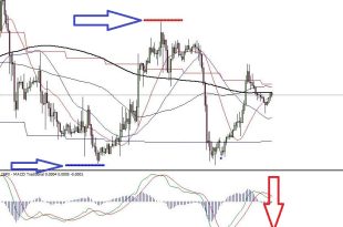 Top Trend Indicators