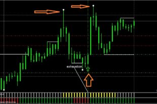 Volatility During Bear and Bull Markets