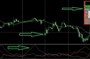 Where can I Backtest Forex Strategy