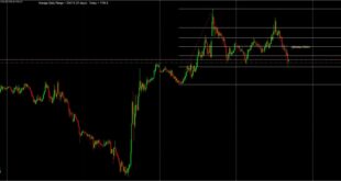 the man who solved the market