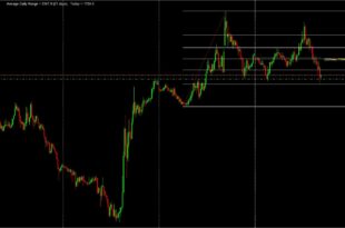 the man who solved the market